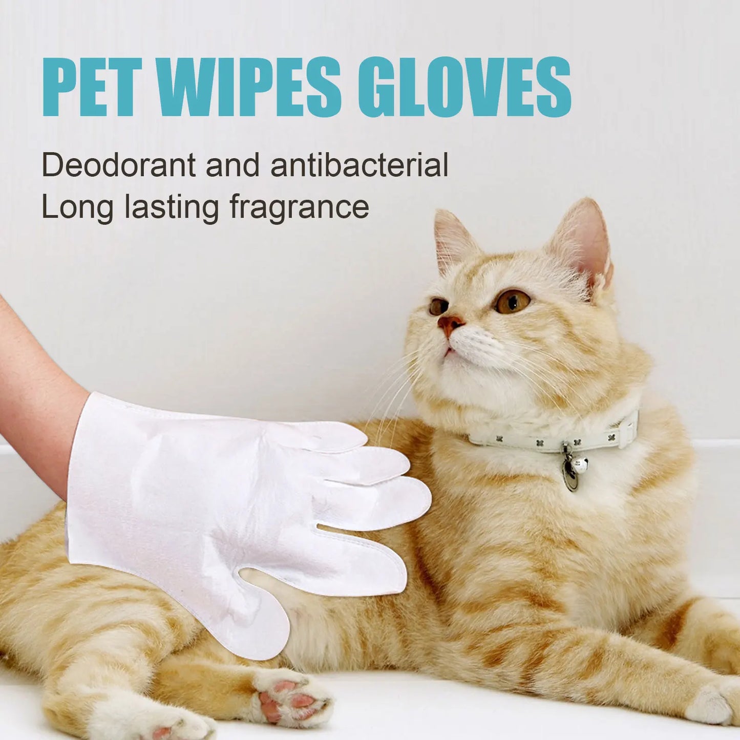 6 Pieces Pack Cat Dog Grooming Glove Pet Hair Deshedding Brush Comb Disposable Pet Stain Remover Wipes Non Woven Fabric Glove