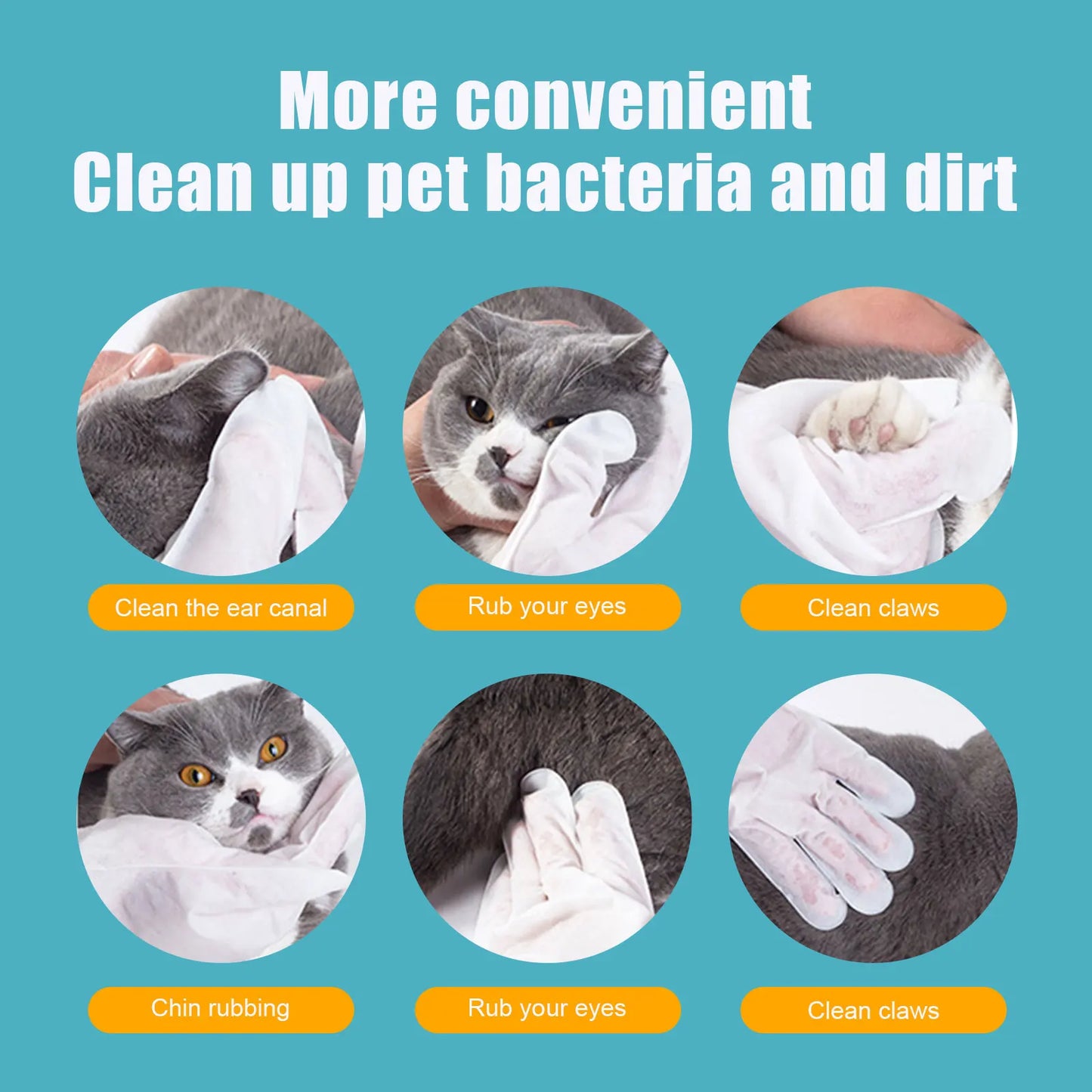 6 Pieces Pack Cat Dog Grooming Glove Pet Hair Deshedding Brush Comb Disposable Pet Stain Remover Wipes Non Woven Fabric Glove