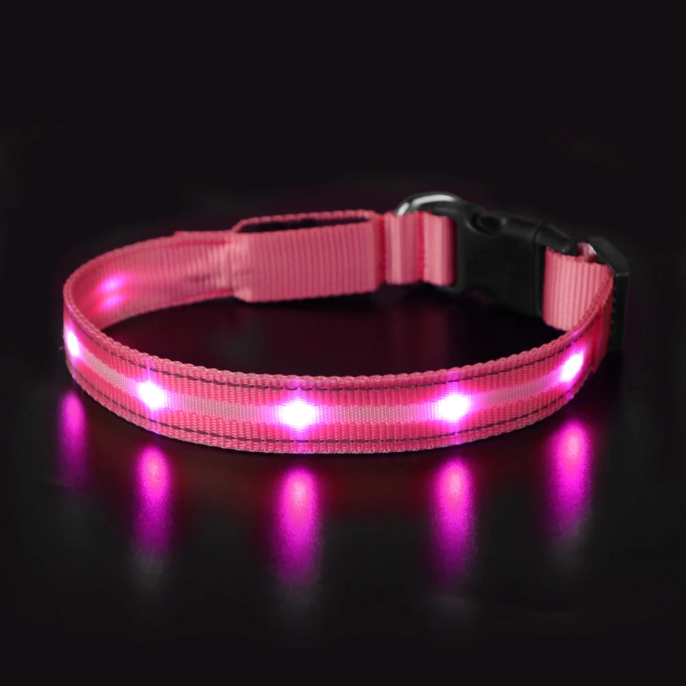Masbrill Light Up Dog Collar Waterproof USB Rechargeable Adjustable Luminous LED Pet Safety Collar