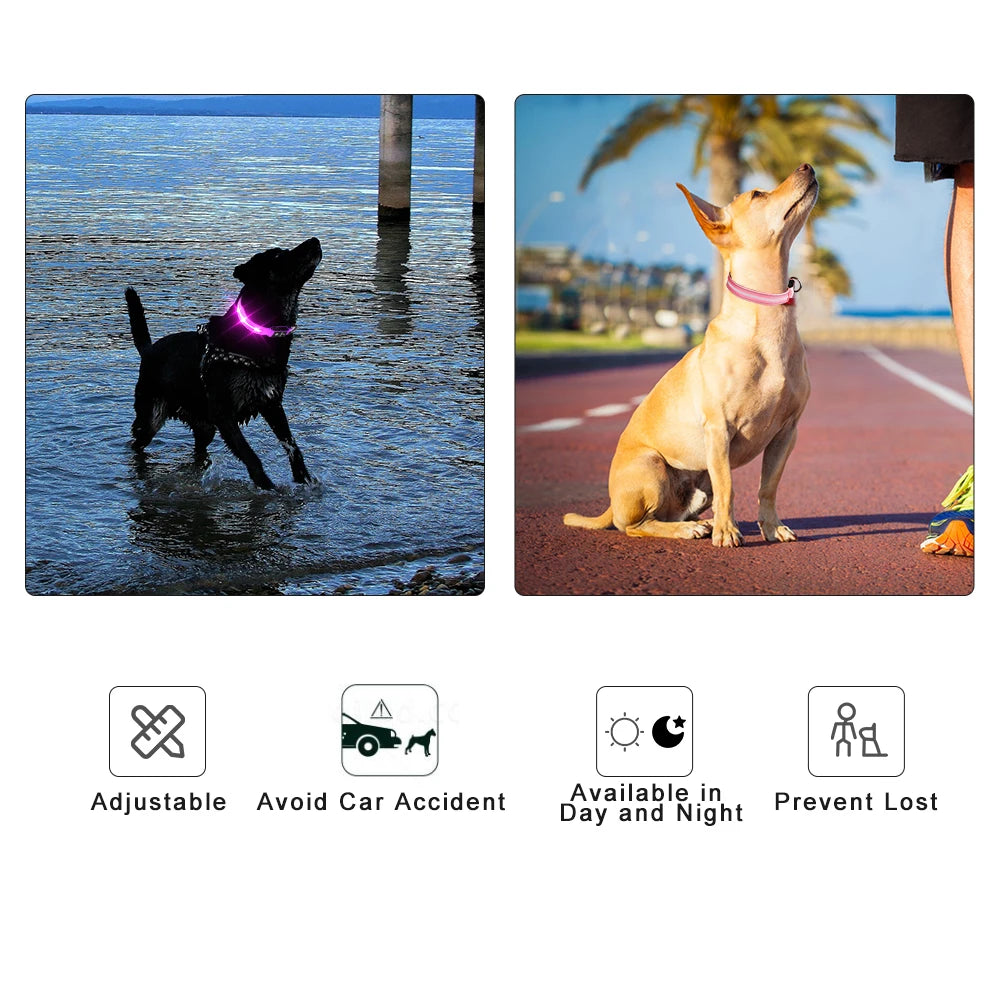 Masbrill Light Up Dog Collar Waterproof USB Rechargeable Adjustable Luminous LED Pet Safety Collar