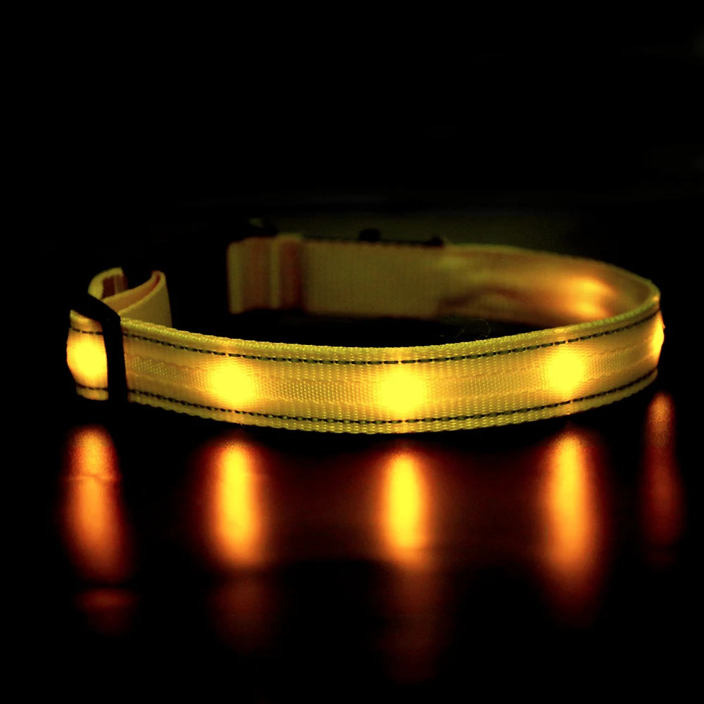 Masbrill Light Up Dog Collar Waterproof USB Rechargeable Adjustable Luminous LED Pet Safety Collar