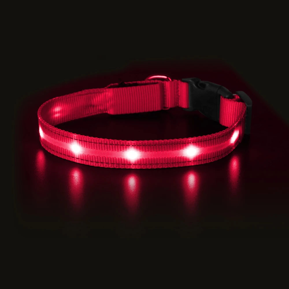 Masbrill Light Up Dog Collar Waterproof USB Rechargeable Adjustable Luminous LED Pet Safety Collar