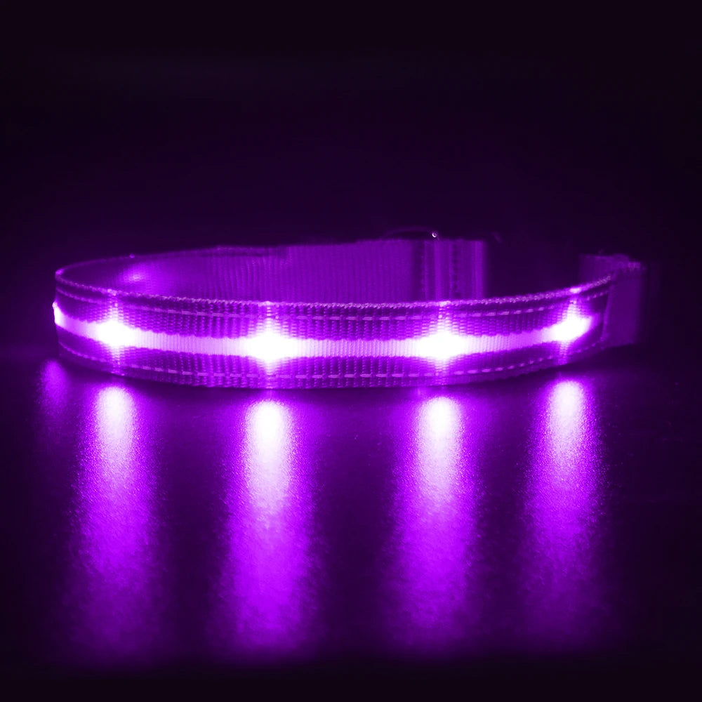 Masbrill Light Up Dog Collar Waterproof USB Rechargeable Adjustable Luminous LED Pet Safety Collar