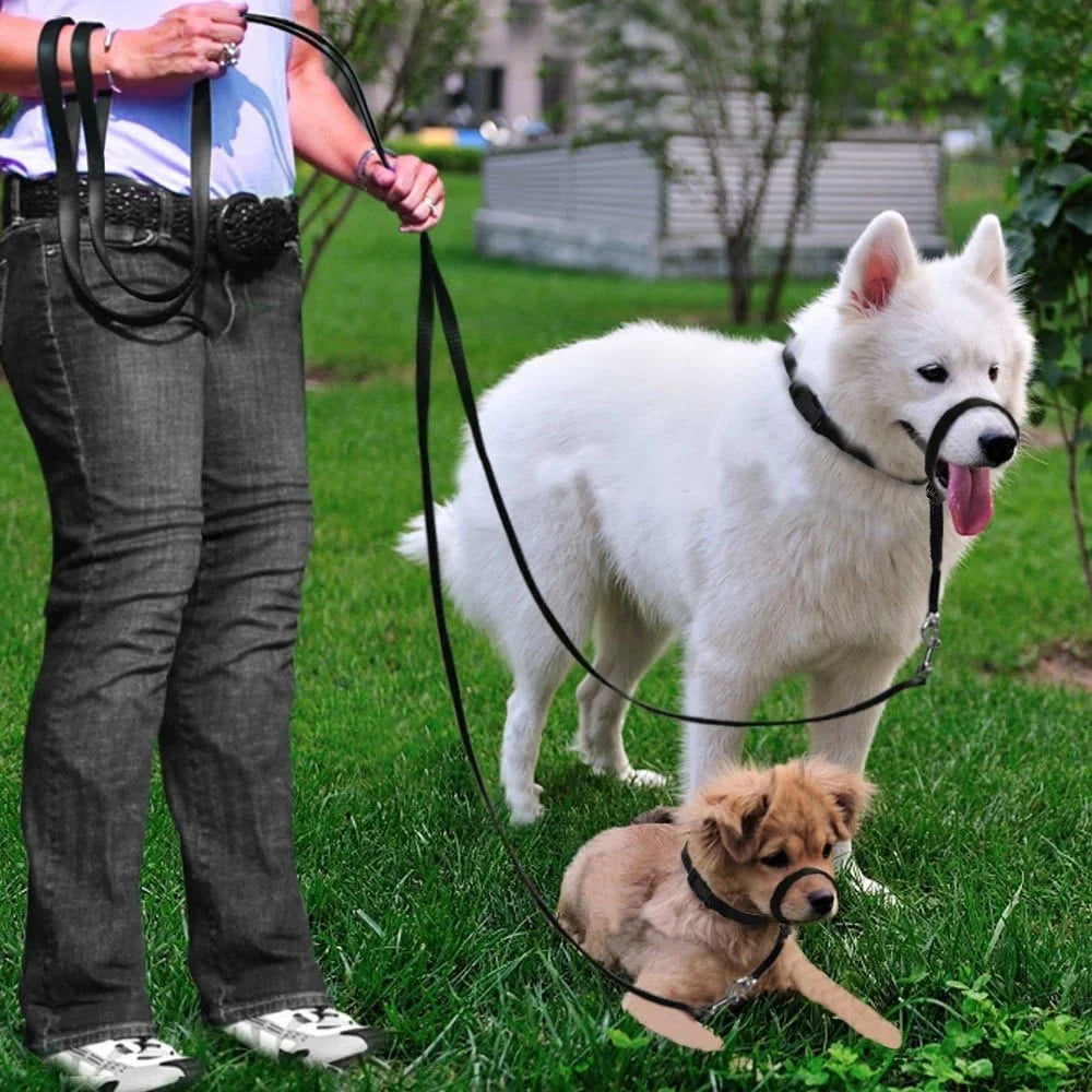 Adjustable Dog Head Collar Head Halter Gentle Control with Leash Training Guide for Walking Parks and Vets
