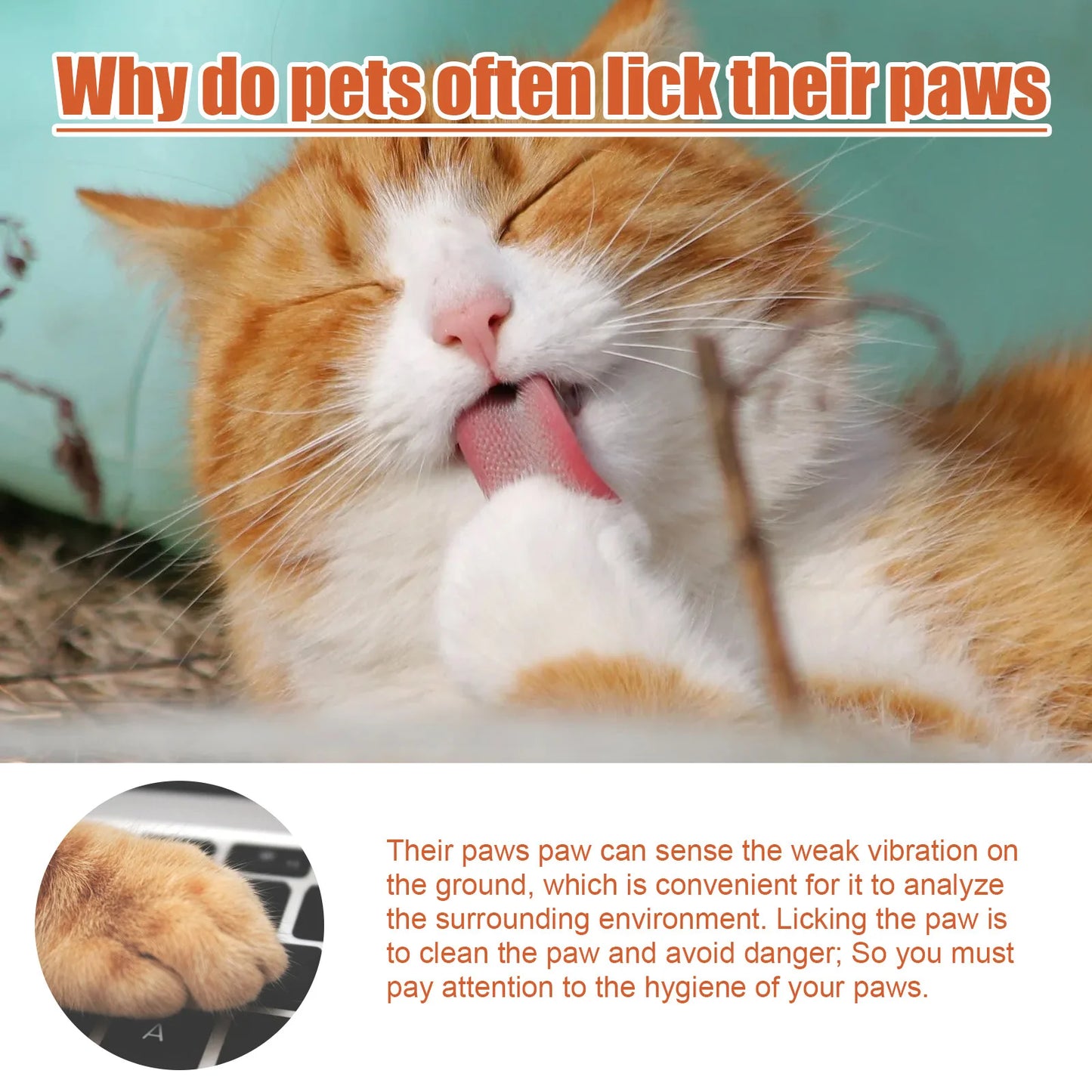 Yegbong 30ml Pet Foot Cream Cat and Dog Foot Moisturizer Repair Scratches Prevent Dryness and Cracks Care Products