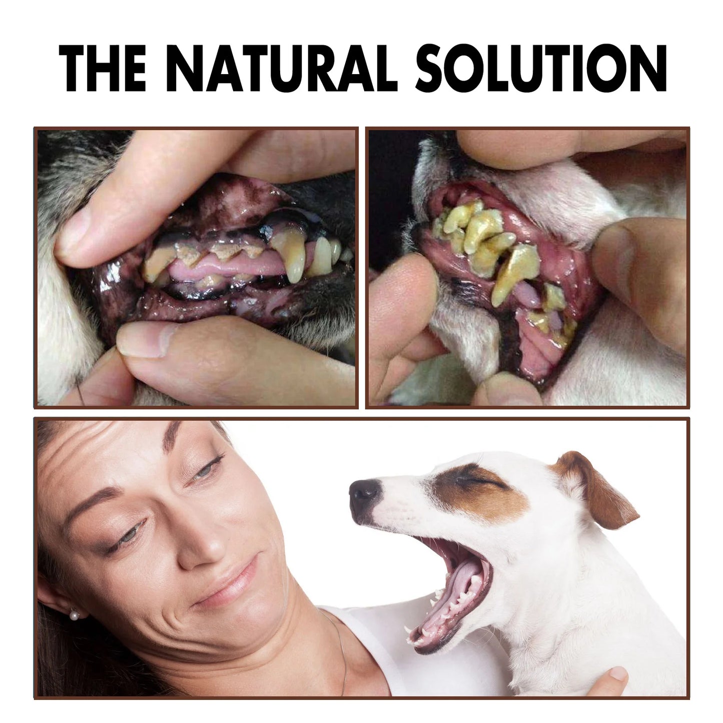 Yegbong 30ml Pet Oral Care Spray Fresh Breath Dental Care for Dogs and Cats Teeth Cleaning Anti Inflammatory