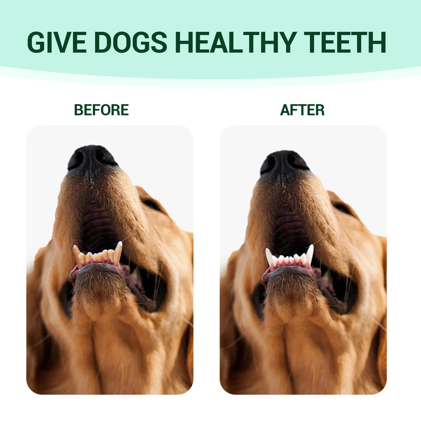 Pet Fresh Breath Cleanser for Dogs and Cats Teeth Water Oral Cleaning with Peppermint and Honeysuckle Extract