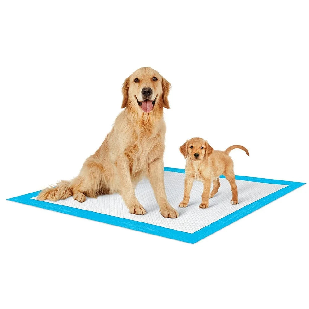 Extra Large Puppy Training Pads 23x36 300 Count Absorbency