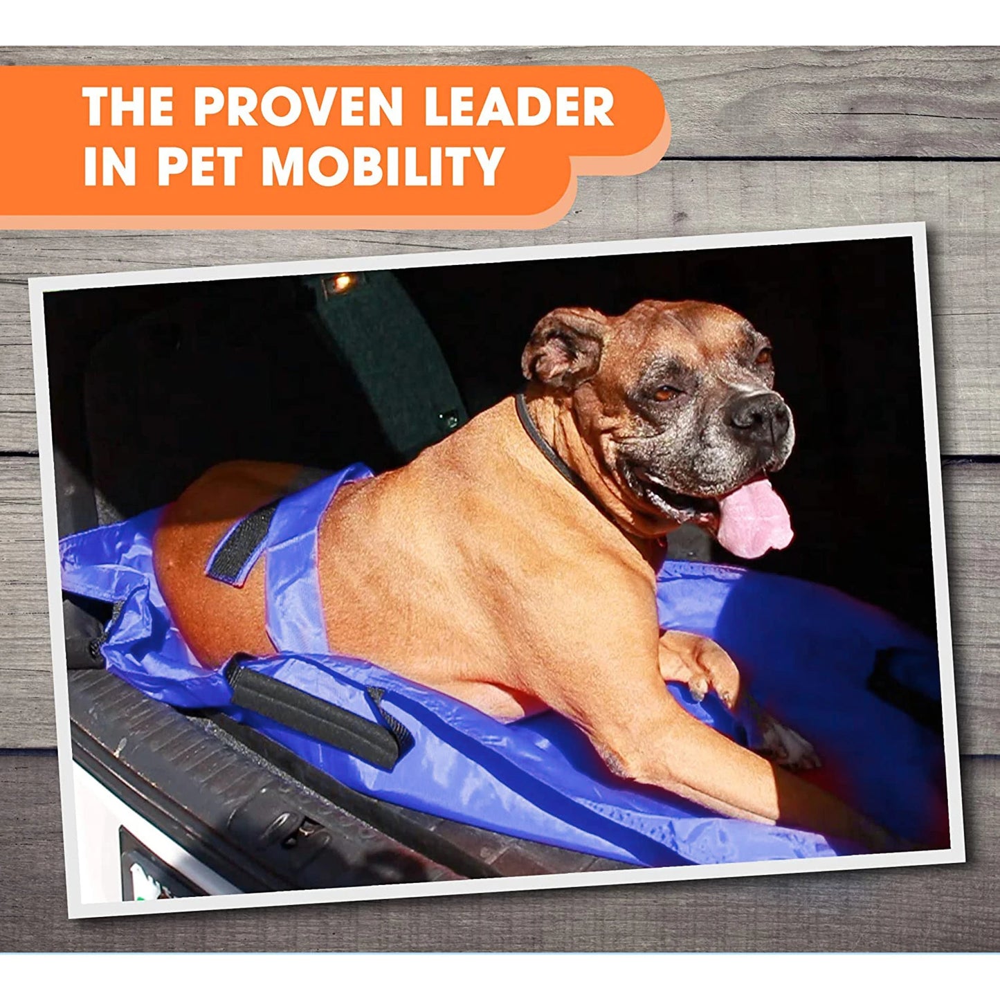 Pet Transport Stretcher Foldable Emergency Animal Carrier Anti Bite Nylon with 6 Handles 132 lb Capacity for Dogs and Large Breeds