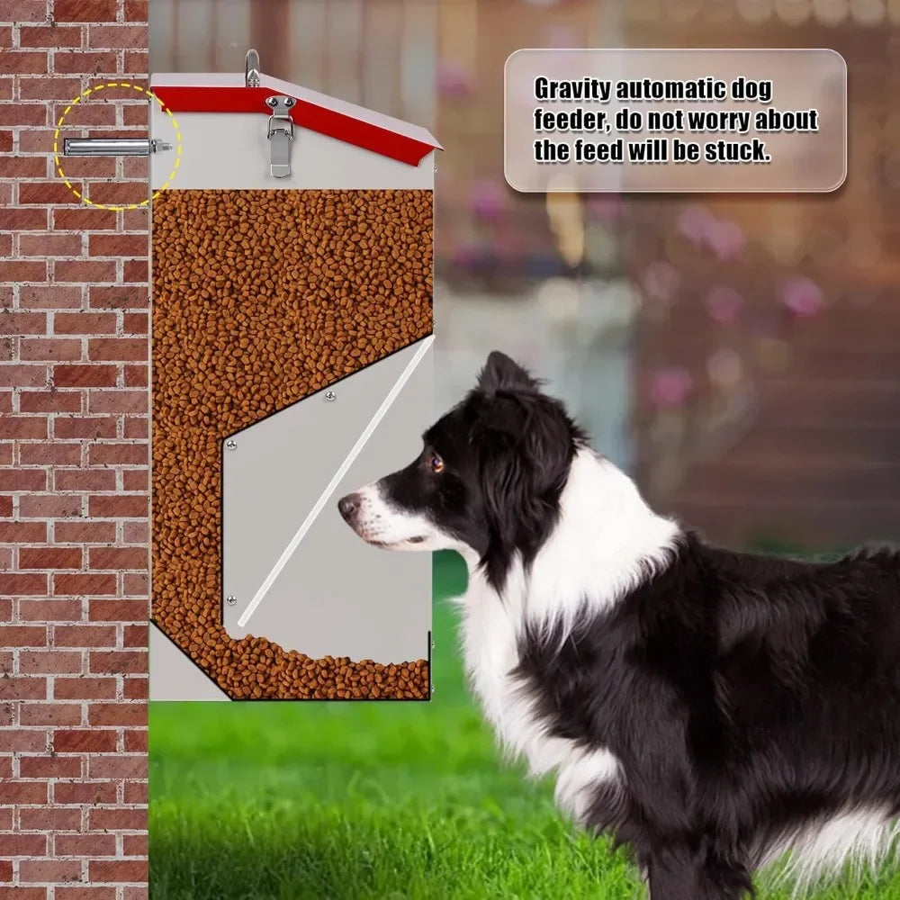 Automatic Dog Feeder for Large Breeds, 25lbs Capacity