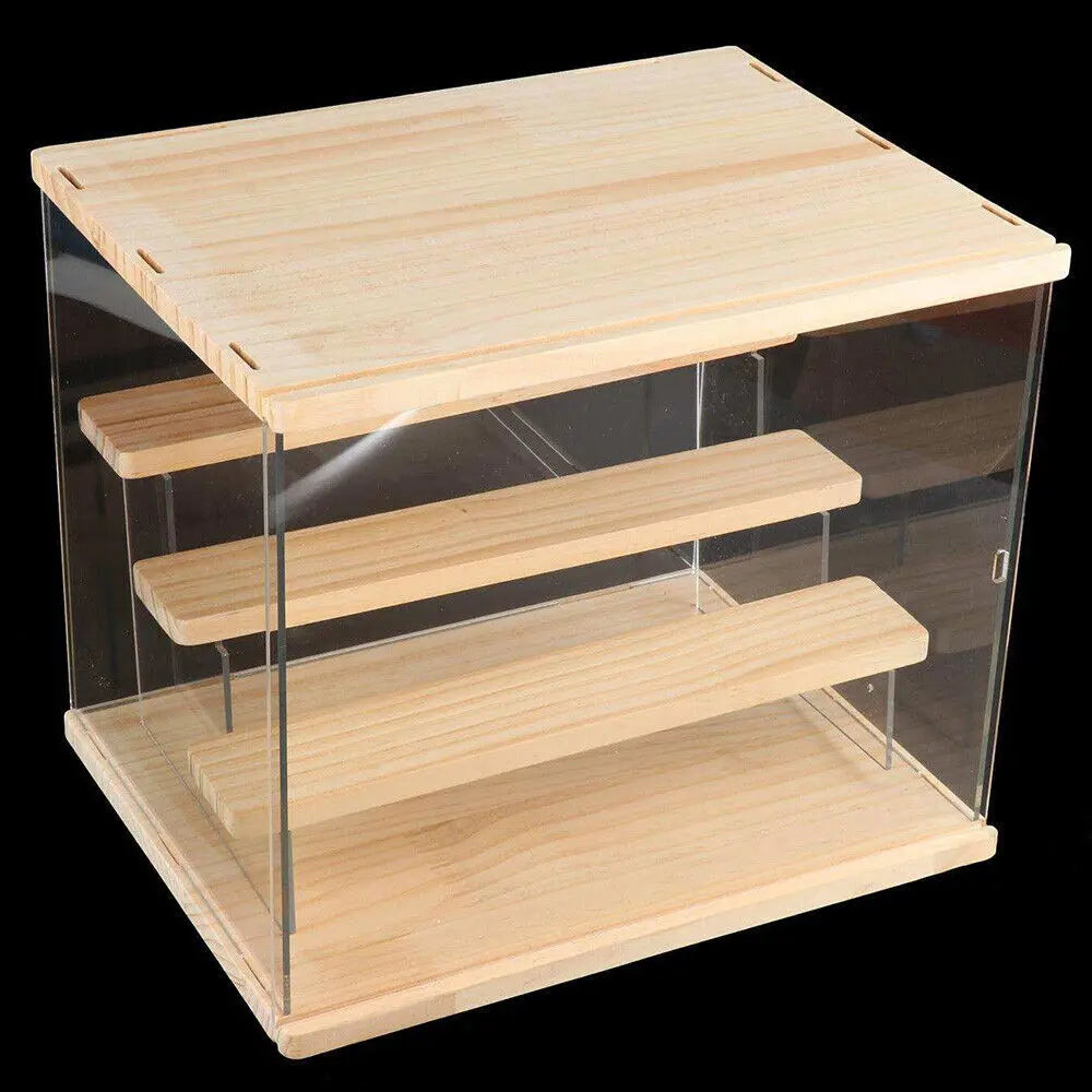 CN Guangdong Premium Acrylic DisplayCase Countertop Box Organizer Stand Showcases
