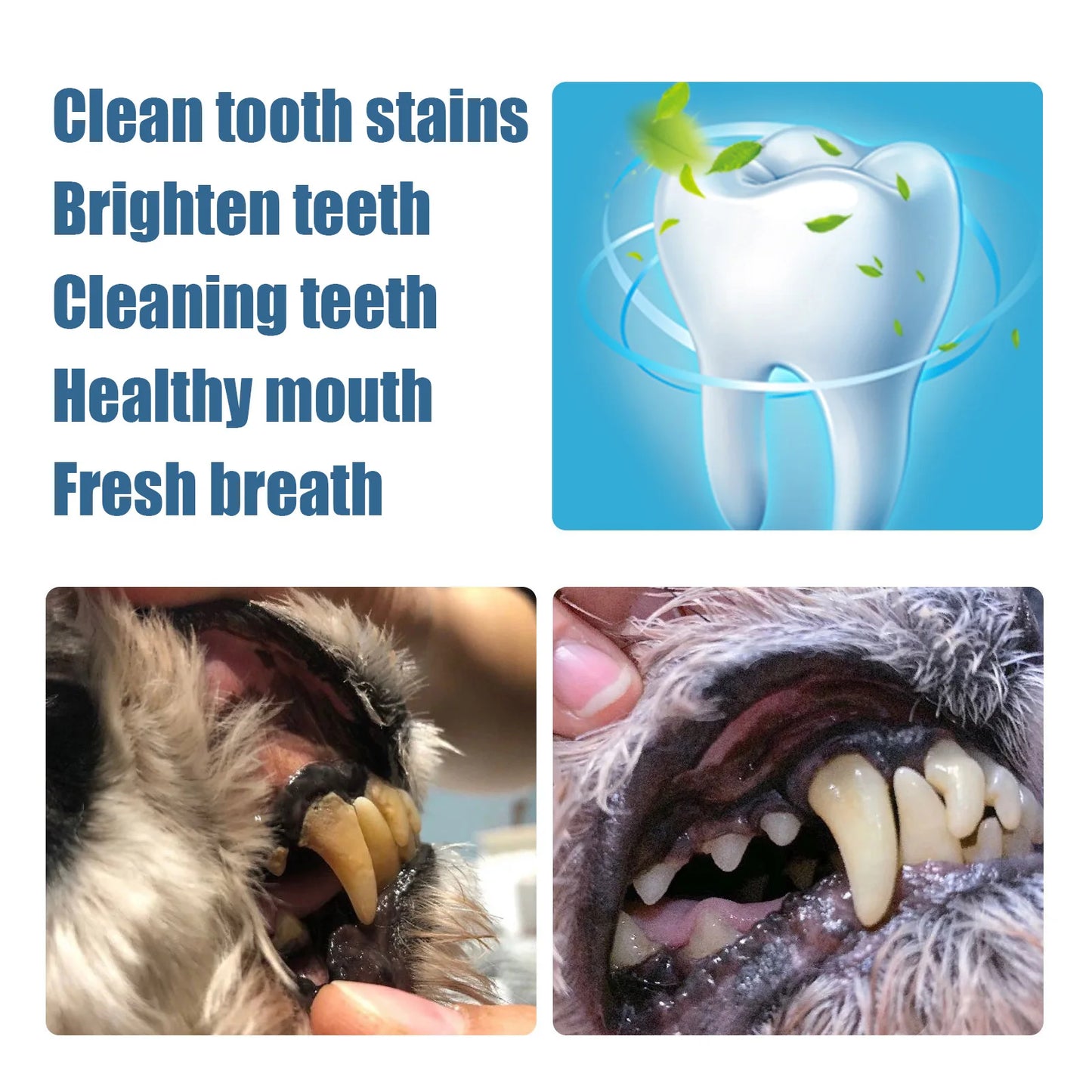Pet Teeth Cleaner Pen for Cats and Dogs Tartar Remover Dental Stones Deodorant Fresh Breath Oral Cleaning Tool
