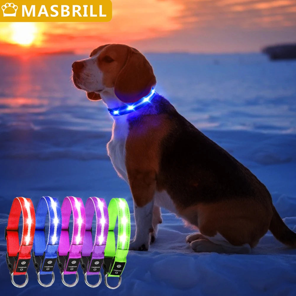 Masbrill Light Up Dog Collar Waterproof USB Rechargeable Adjustable Luminous LED Pet Safety Collar