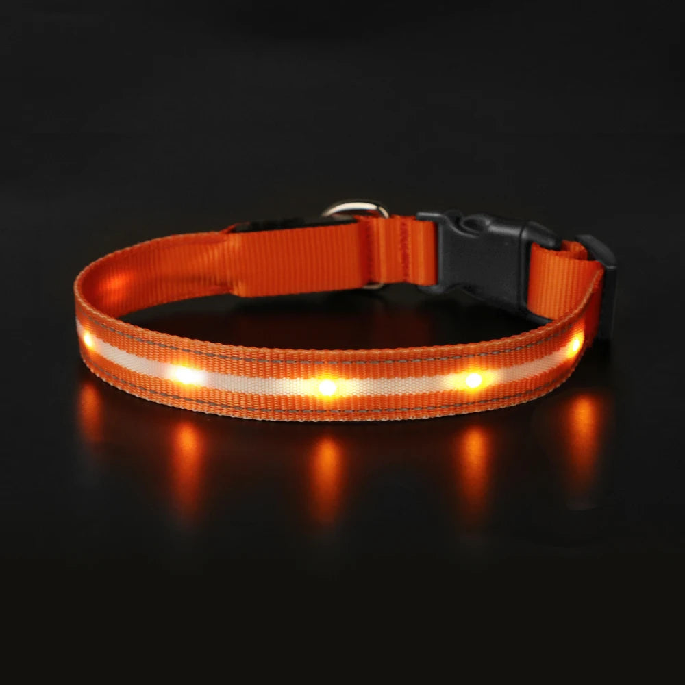 Masbrill Light Up Dog Collar Waterproof USB Rechargeable Adjustable Luminous LED Pet Safety Collar