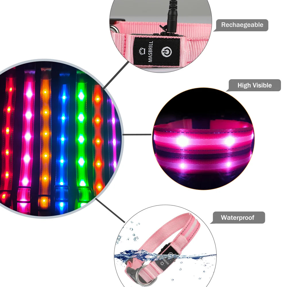 Masbrill Light Up Dog Collar Waterproof USB Rechargeable Adjustable Luminous LED Pet Safety Collar