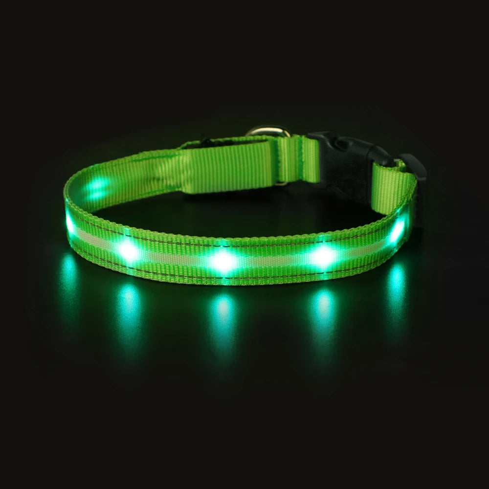 Masbrill Light Up Dog Collar Waterproof USB Rechargeable Adjustable Luminous LED Pet Safety Collar