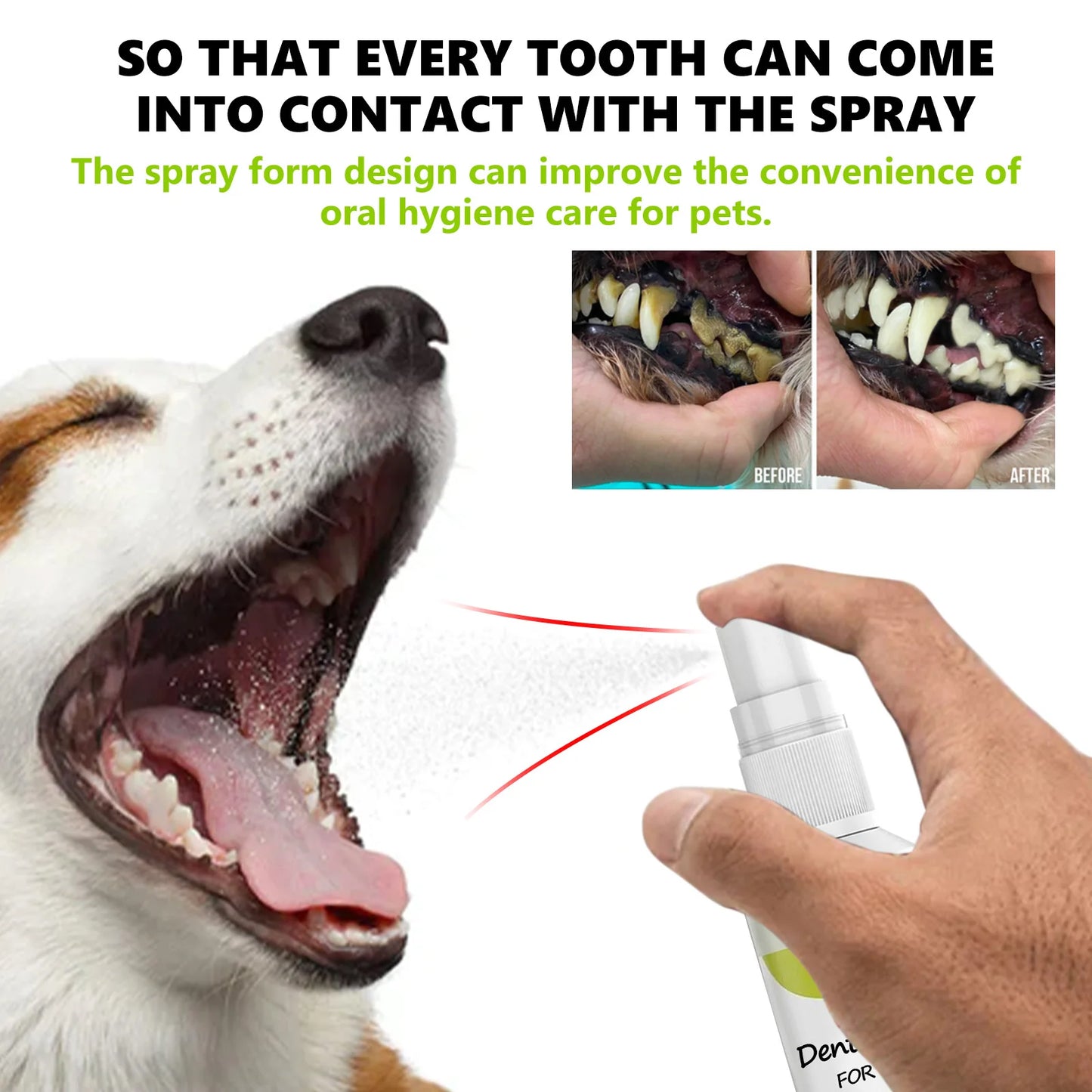 Cat and Dog Pet Mint Fresh Breath Spray Oral Cleansing Deodorant Odor Care 100ml Pet Supplies