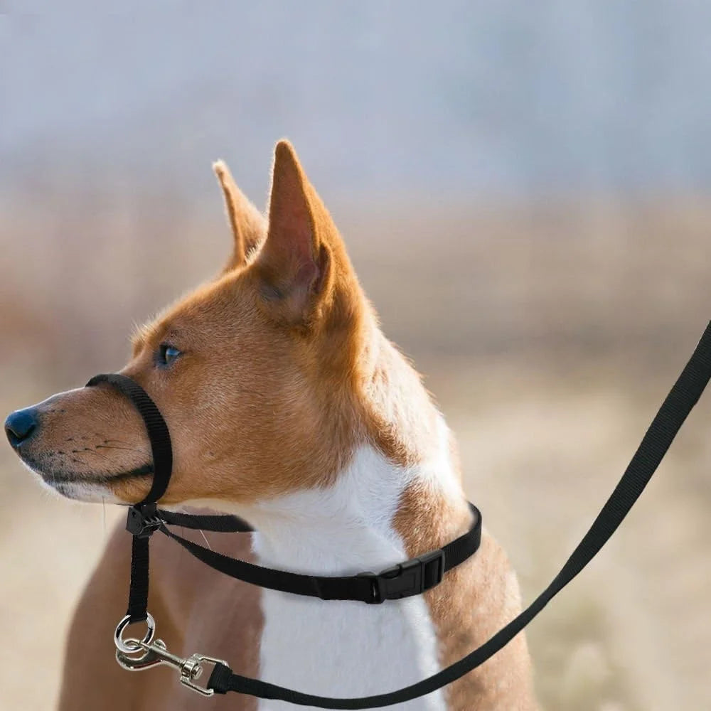 Adjustable Dog Head Collar Head Halter Gentle Control with Leash Training Guide for Walking Parks and Vets