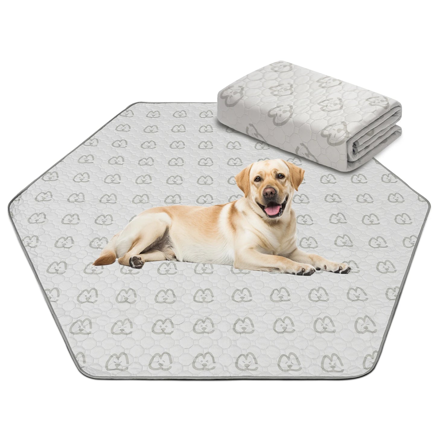 FXW Washable Dog Pee Pads for Crate Training Sofa Bed
