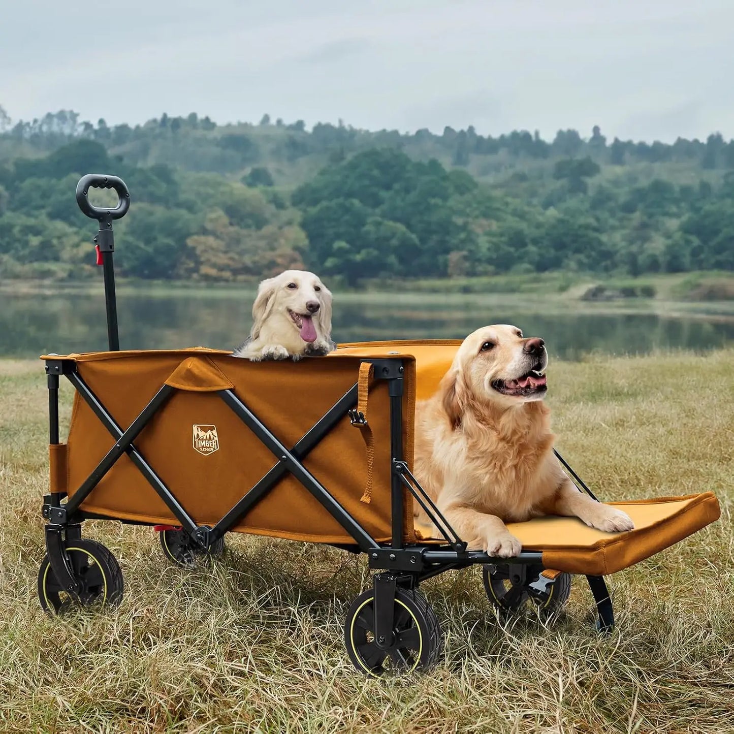 49 Inch Extra Long Folding Wagon With Tailgate Brakes 250L