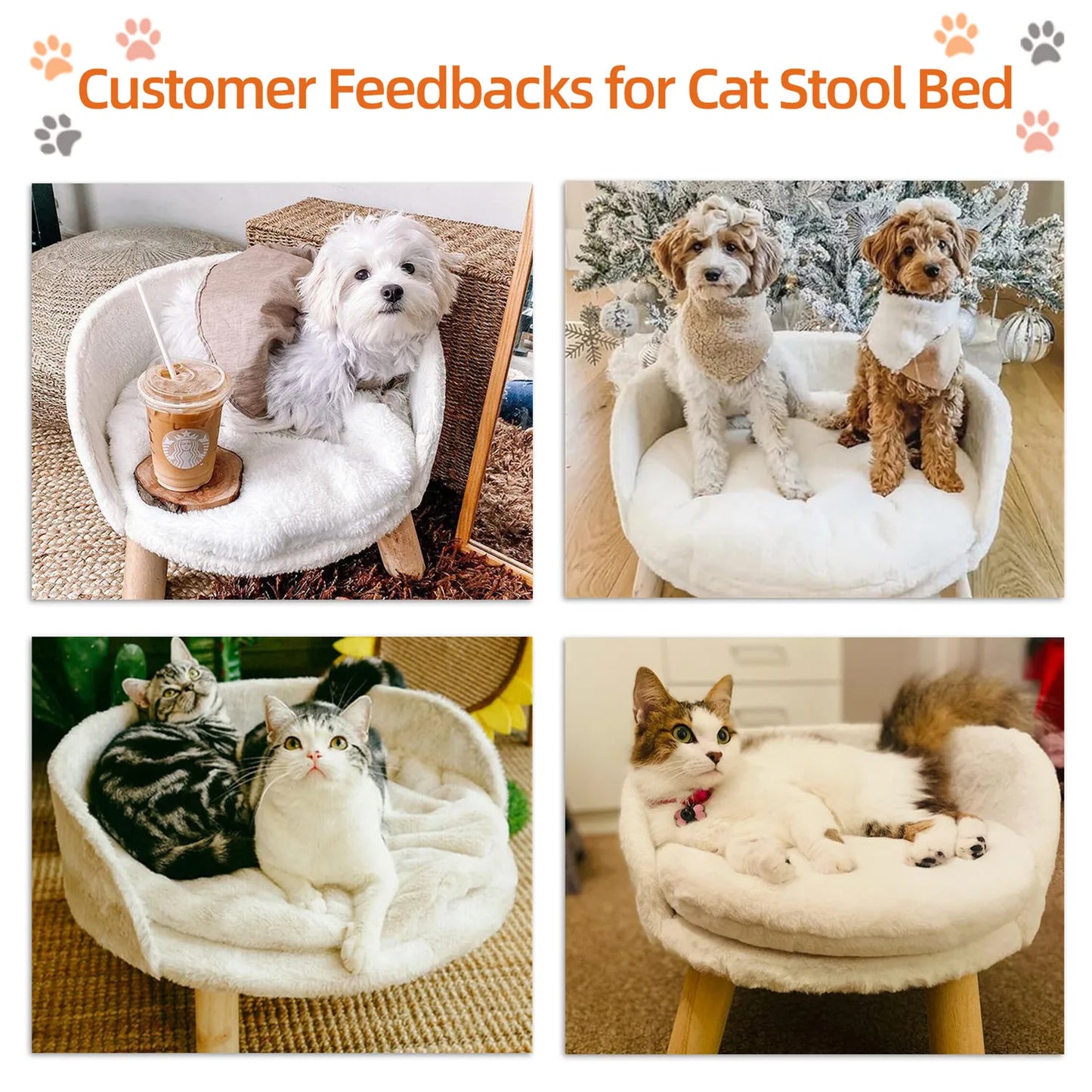 Raised Pet Sofa Bed For Cats And Small Dogs With Cushion