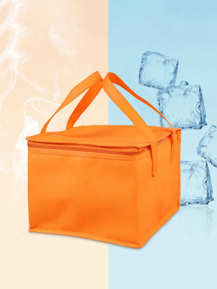 Reusable Insulated Bag for Pizza Delivery and Picnics