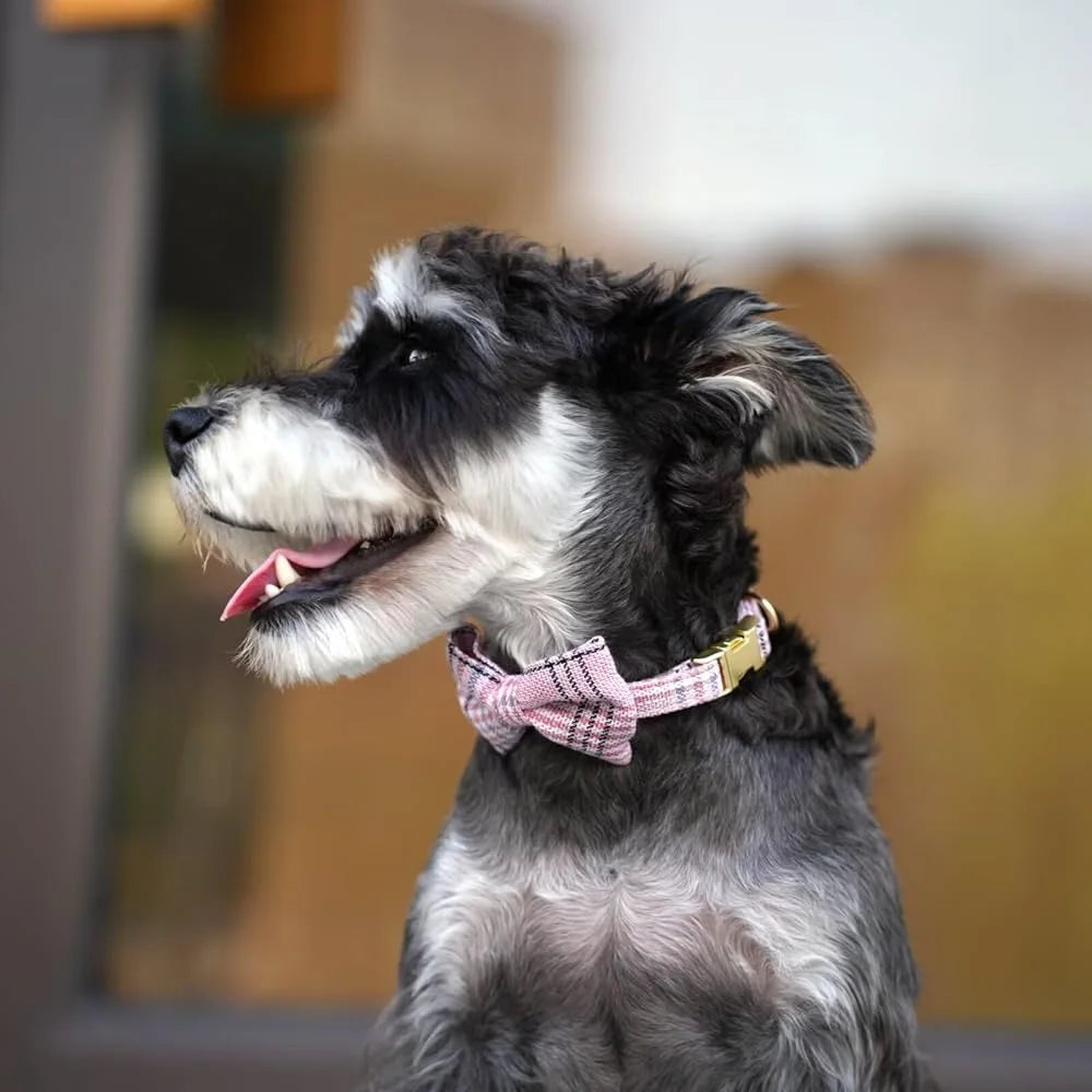 Cute Small Dog Harness Collar Leash Set Adjustable Soft Plaid Design for Extra Small Dogs and Cats Ideal for Walks and Parties