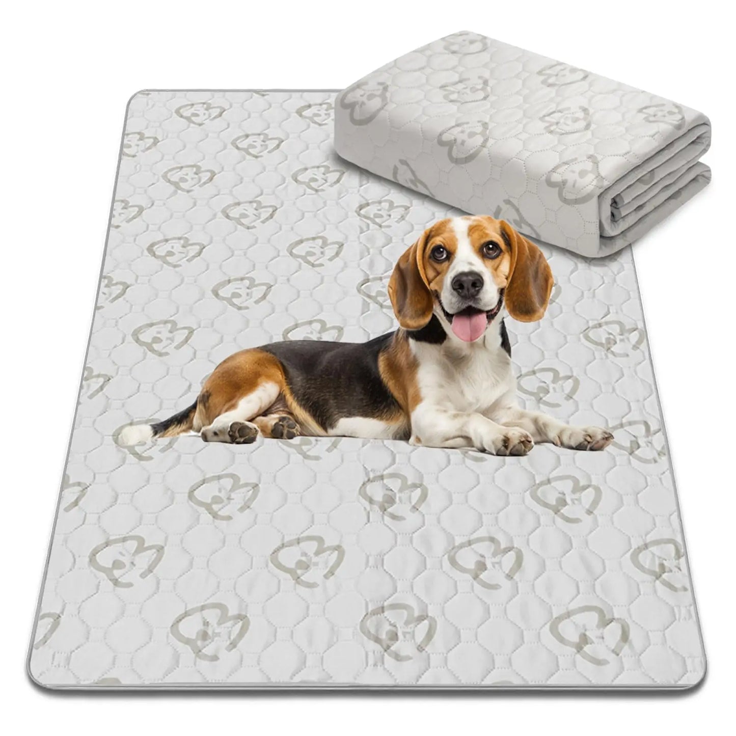 FXW Washable Dog Pee Pads for Crate Training Sofa Bed
