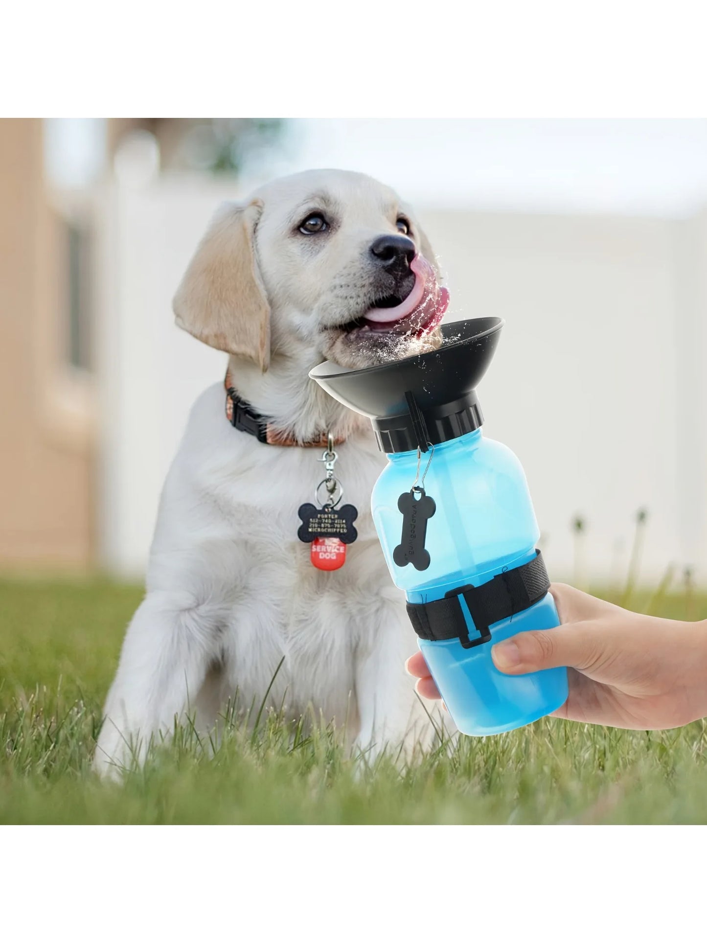 Dog Water Bottle Portable Travel Dispenser for Dogs Cats and Kittens Outdoor Water Bowl