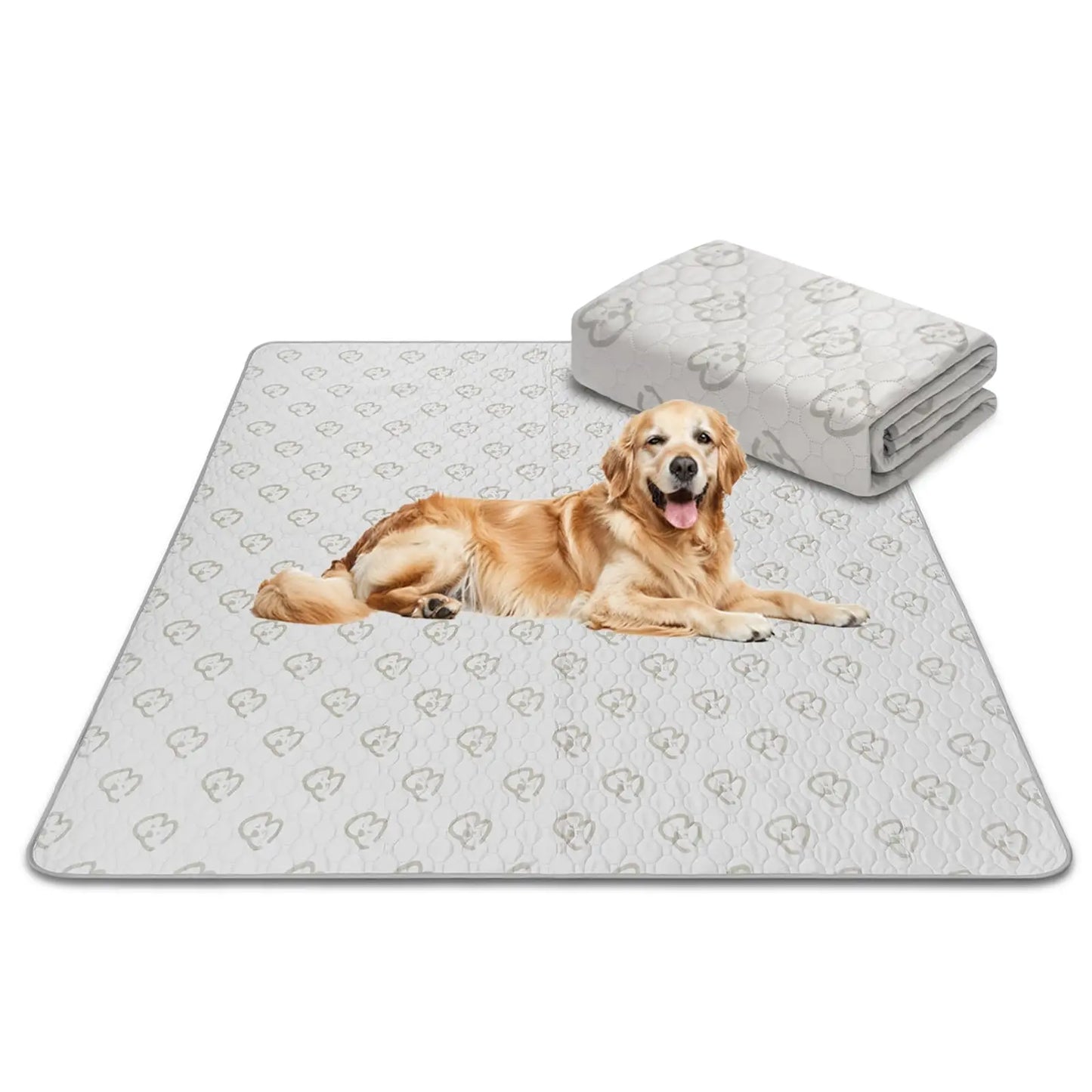 FXW Washable Dog Pee Pads for Crate Training Sofa Bed