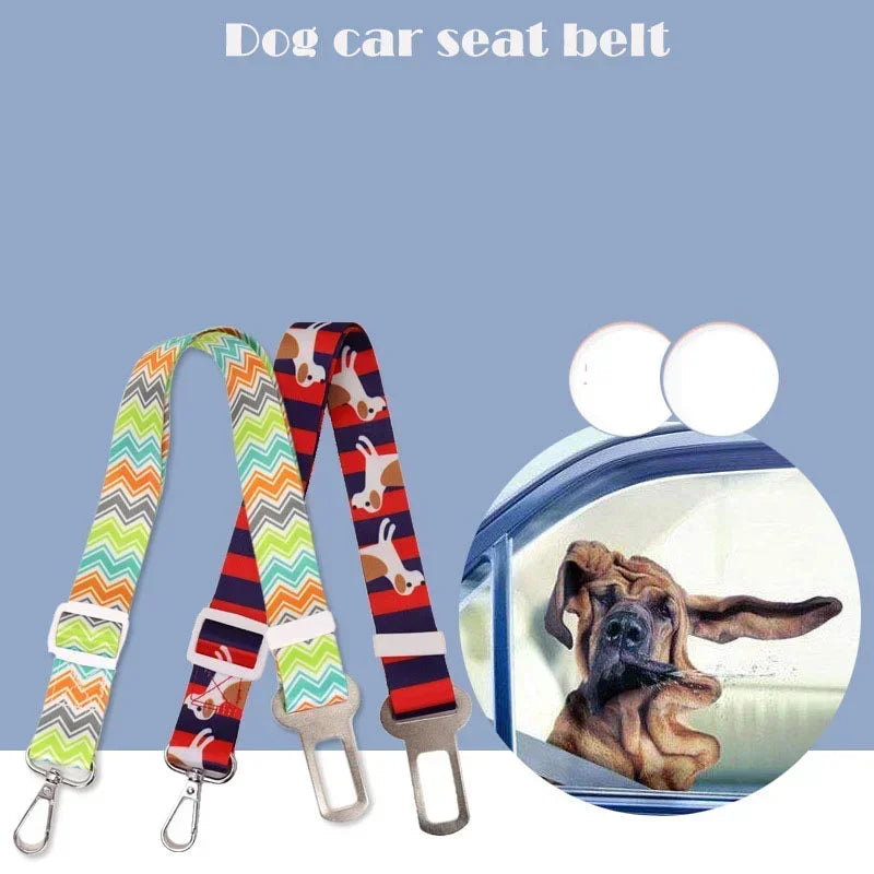 Guangdong Hignconcerned Chemical Pet Car Safety Belt Nylon