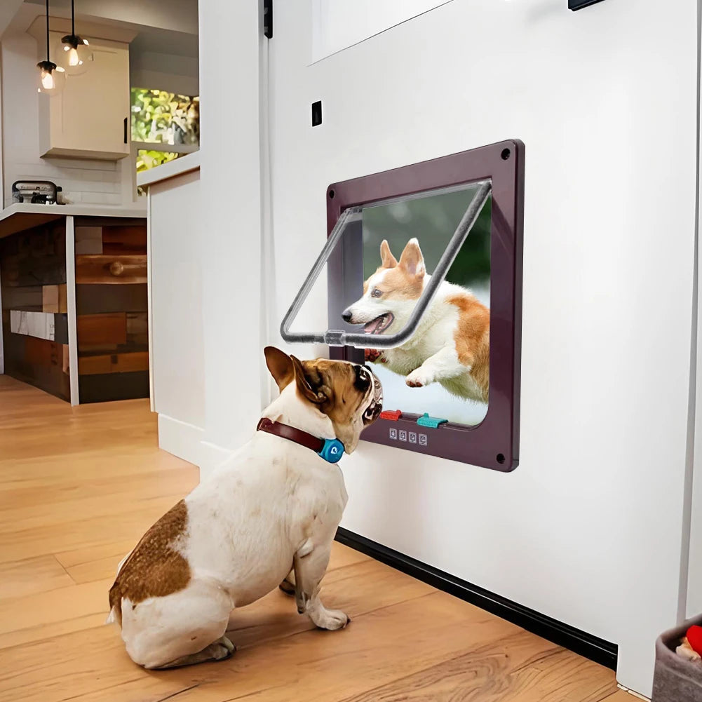 Puppy Kitten Safety In Out Cat Door With 4 Way Lock