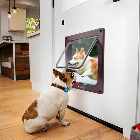 Puppy Kitten Safety In Out Cat Door With 4 Way Lock