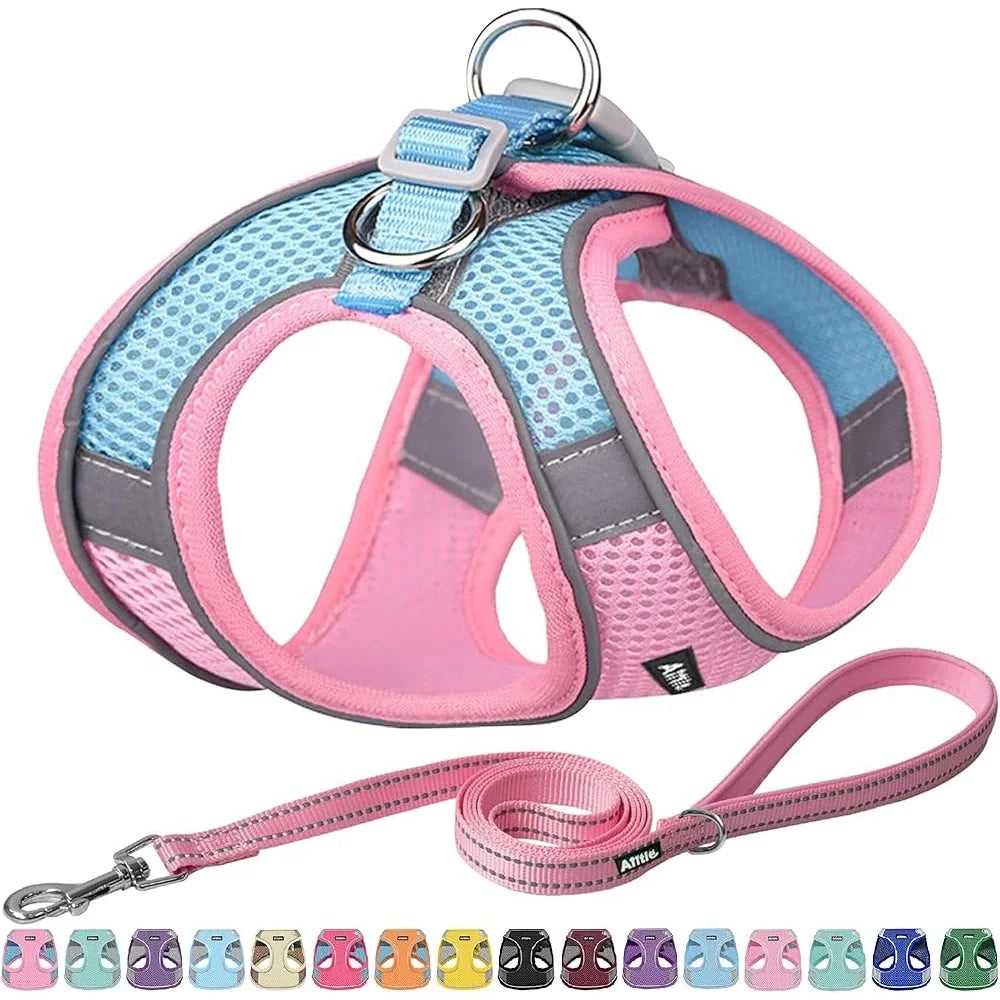 Step In Dog Harness Leash Set No Pull Escape Proof Soft Mesh Vest Reflective Bands Breathable Comfortable for Small Dogs