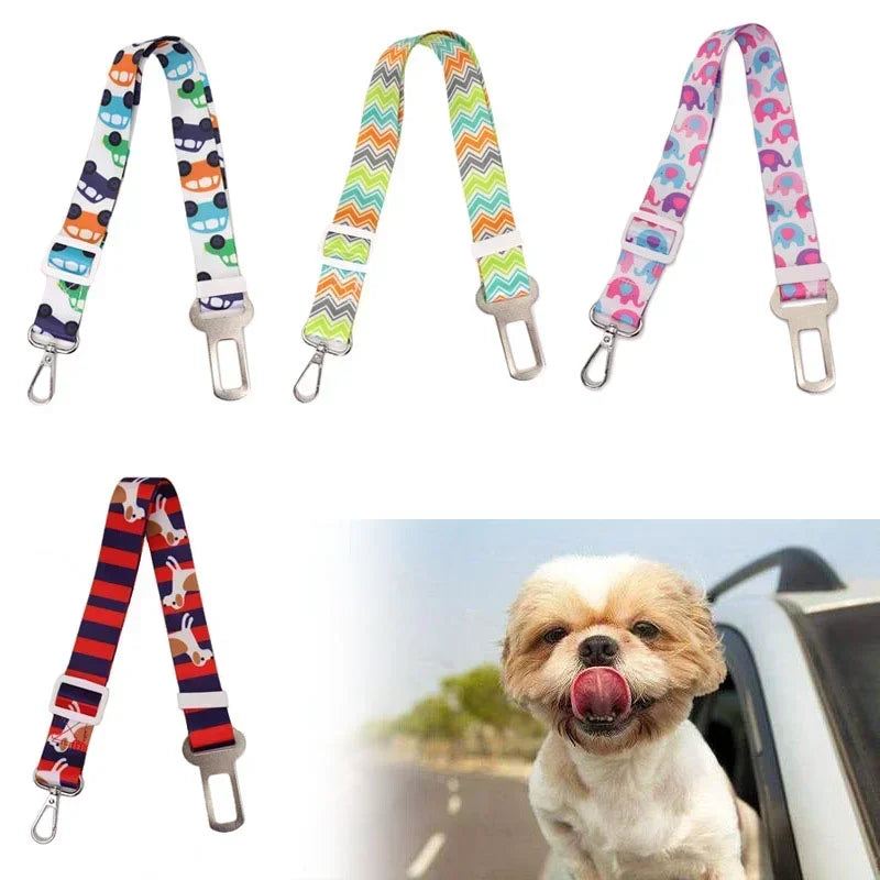 Guangdong Hignconcerned Chemical Pet Car Safety Belt Nylon