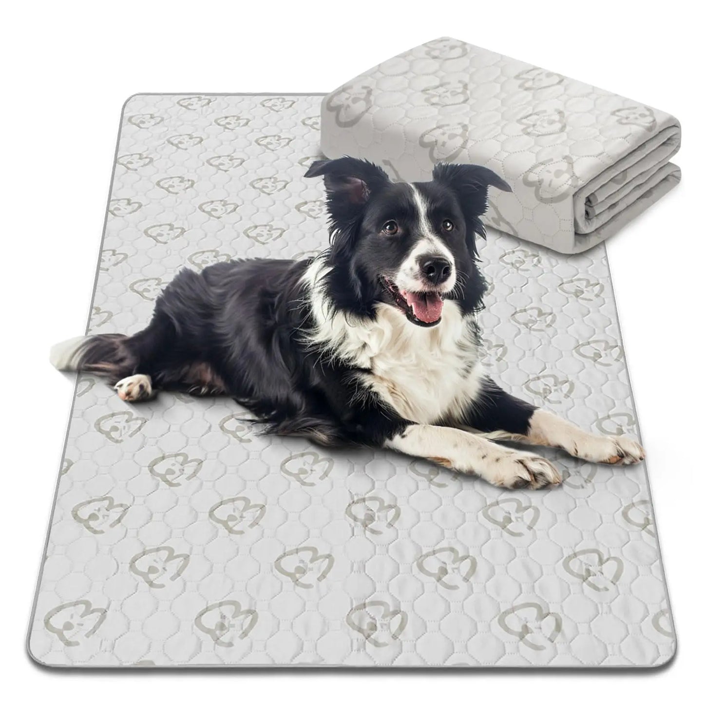 FXW Washable Dog Pee Pads for Crate Training Sofa Bed