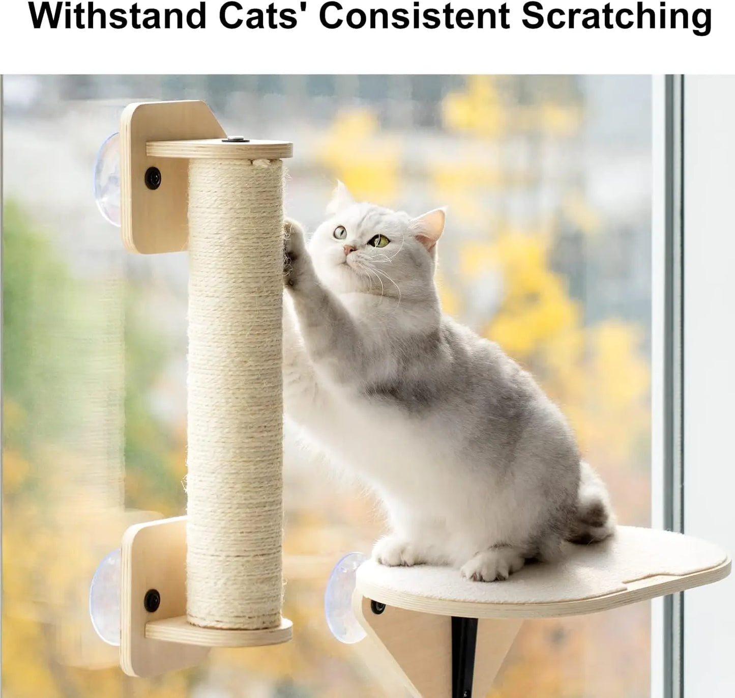 Mewoofun Cat Window Perch Hammock With Climbing Steps Indoor