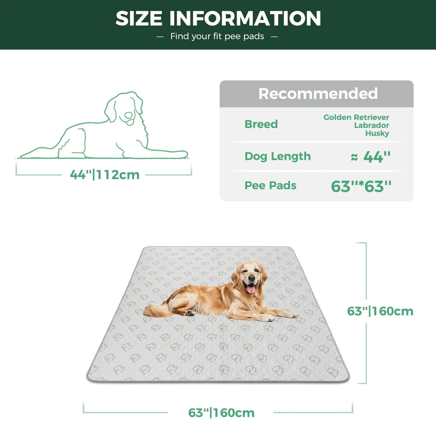 FXW Washable Dog Pee Pads for Crate Training Sofa Bed