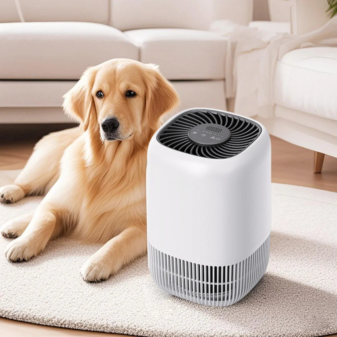 Air Purifiers for Bedroom Home HEPA Filter Cleaner with Fragrance Sponge Smoke Allergies Pollen Pet Timer