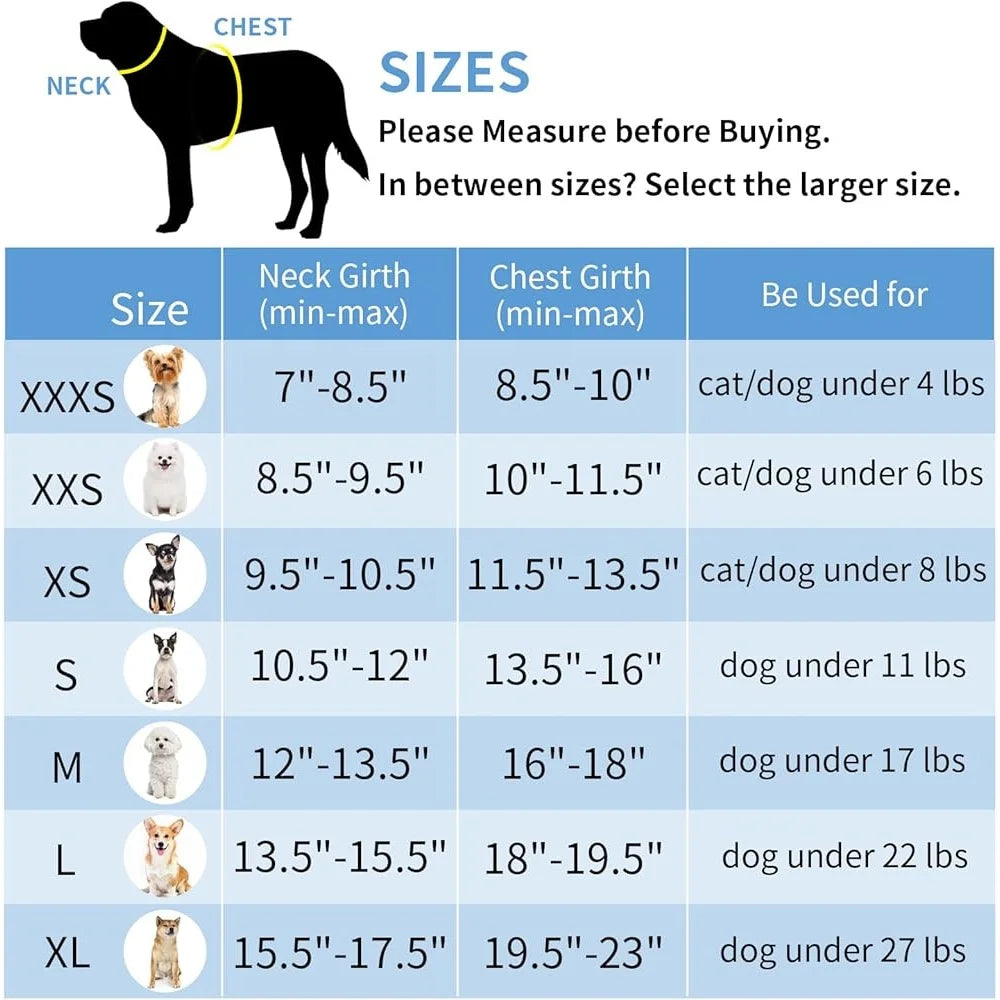 Step In Dog Harness Leash Set No Pull Escape Proof Soft Mesh Vest Reflective Bands Breathable Comfortable for Small Dogs