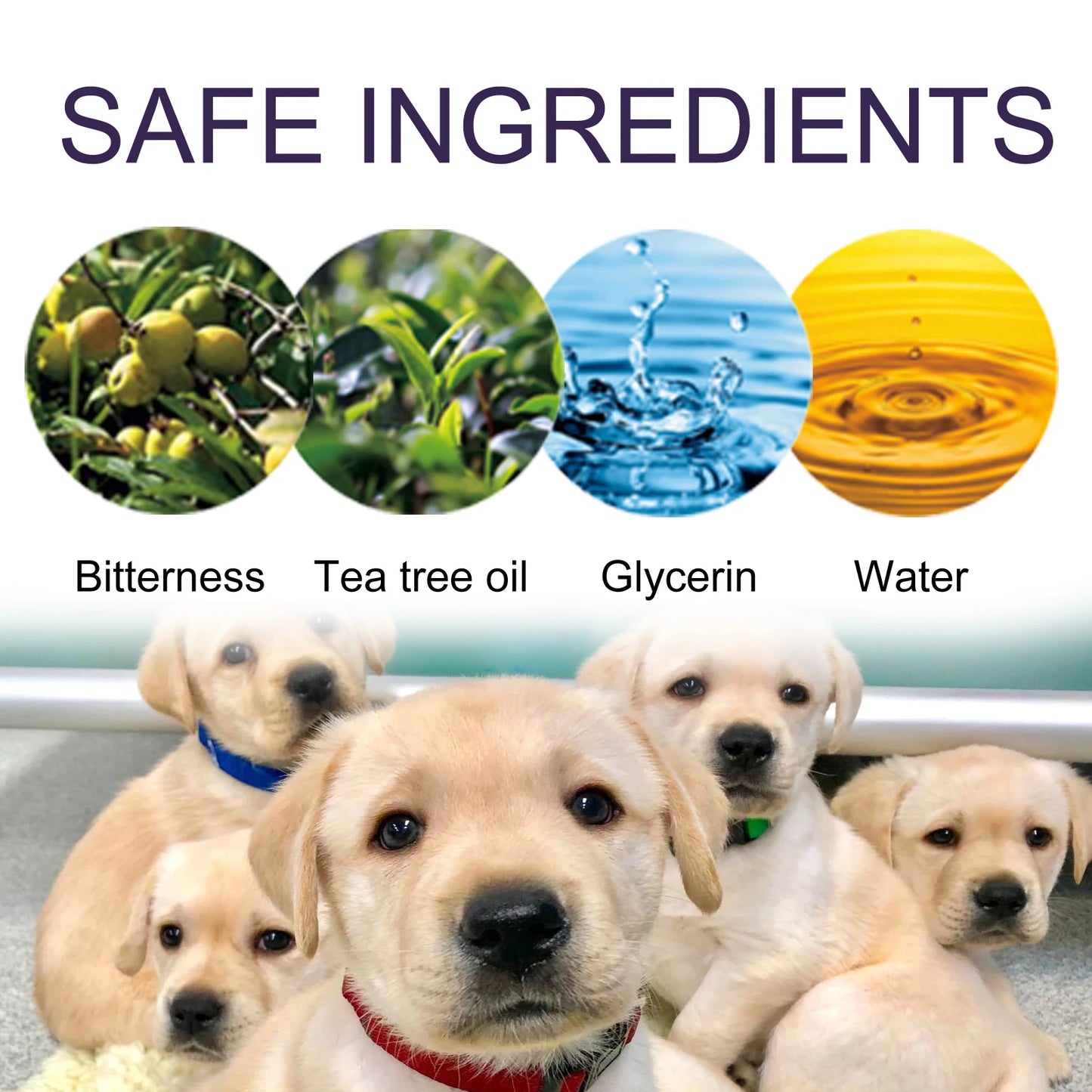 Pet No Chew Spray Bitter Liquid for Dogs and Cats Anti Gnawing and Biting Behavior Modification 50ml