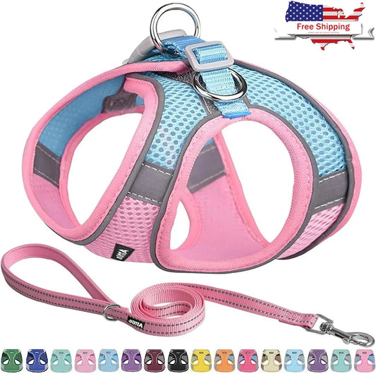 Step In Dog Harness Leash Set No Pull Escape Proof Soft Mesh Vest Reflective Bands Breathable Comfortable for Small Dogs