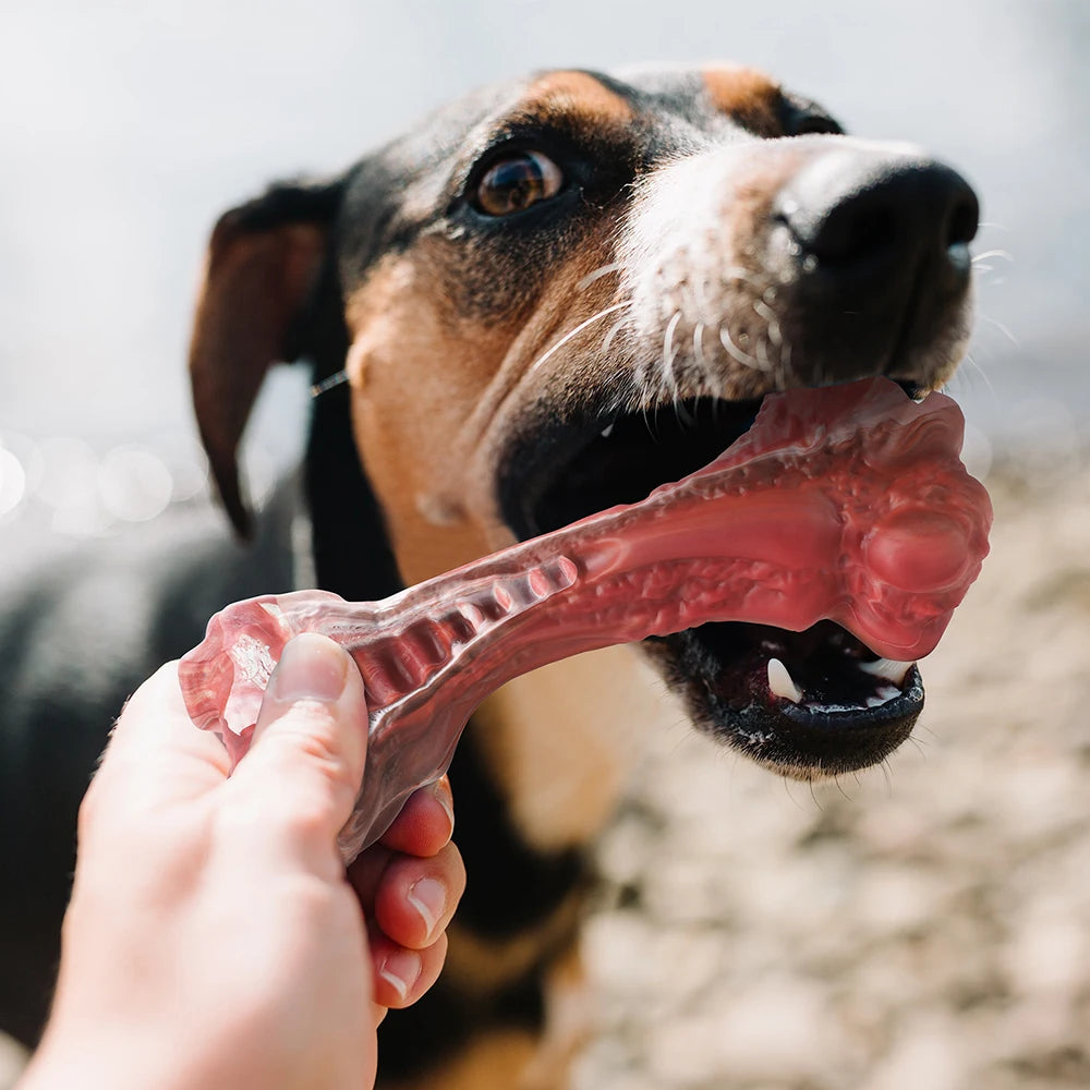 Masbrill Dog Toys for Aggressive Chewers Large Dogs Indestructible Bone Shaped Nylon Interactive Chew Toys for Teeth Cleaning