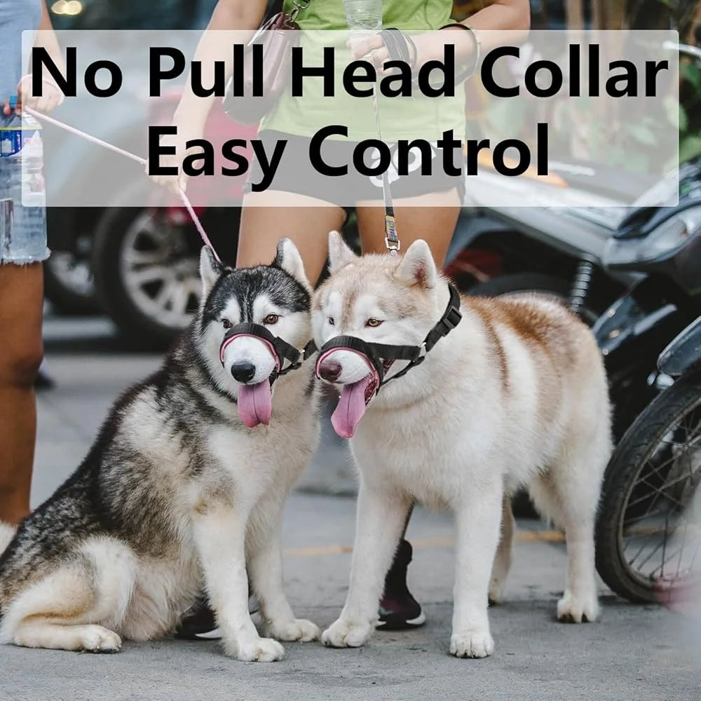 Padded Dog Head Collar Adjustable No Pull Harness Durable Nylon Strap for Better Control All Dog Sizes