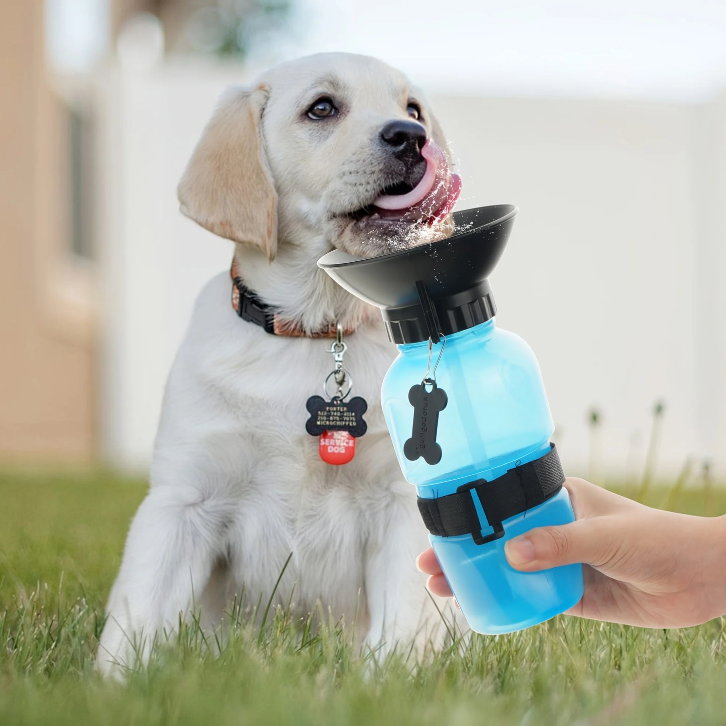 Dog Water Bottle Portable Travel Dispenser for Dogs Cats and Kittens Outdoor Water Bowl