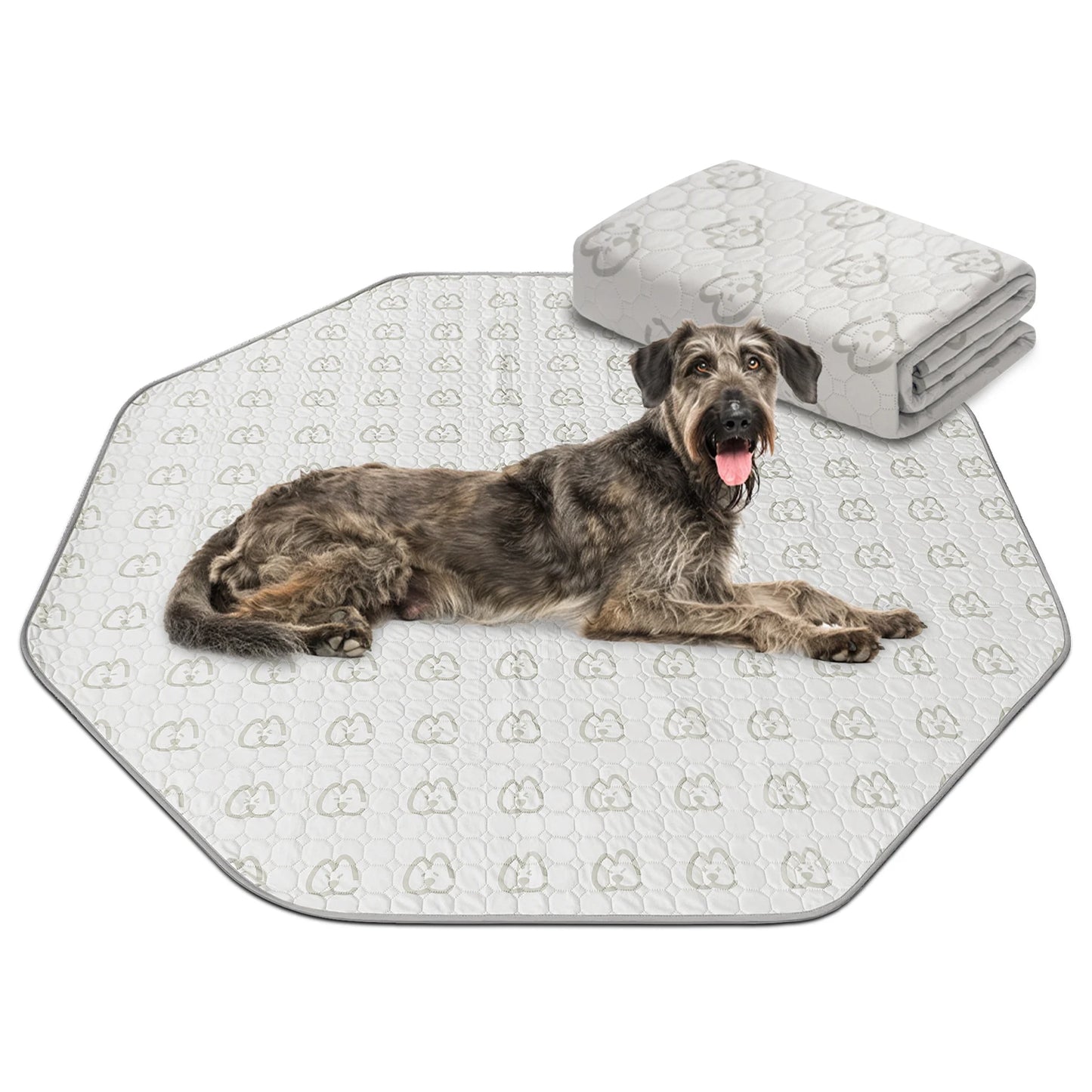 FXW Washable Dog Pee Pads for Crate Training Sofa Bed
