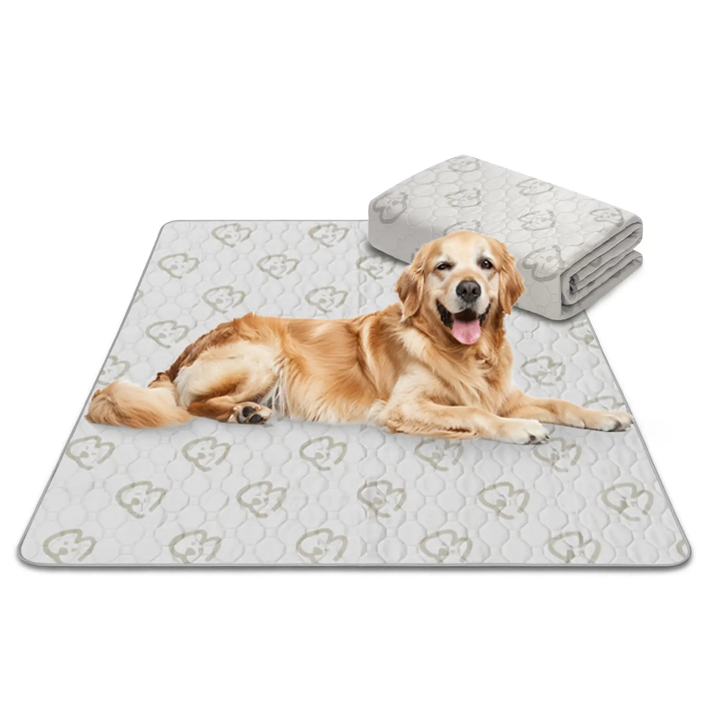 FXW Washable Dog Pee Pads for Crate Training Sofa Bed