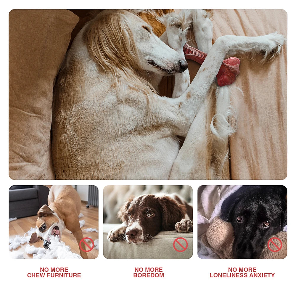 Masbrill Dog Toys for Aggressive Chewers Large Dogs Indestructible Bone Shaped Nylon Interactive Chew Toys for Teeth Cleaning