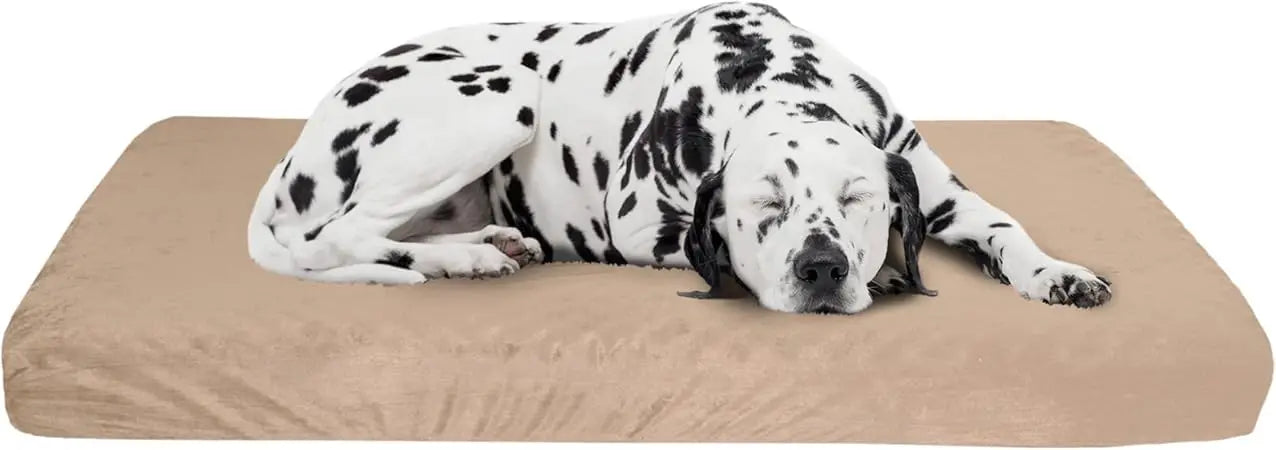 Orthopedic Two-Layer Memory Foam Dog Bed With Washable Cover