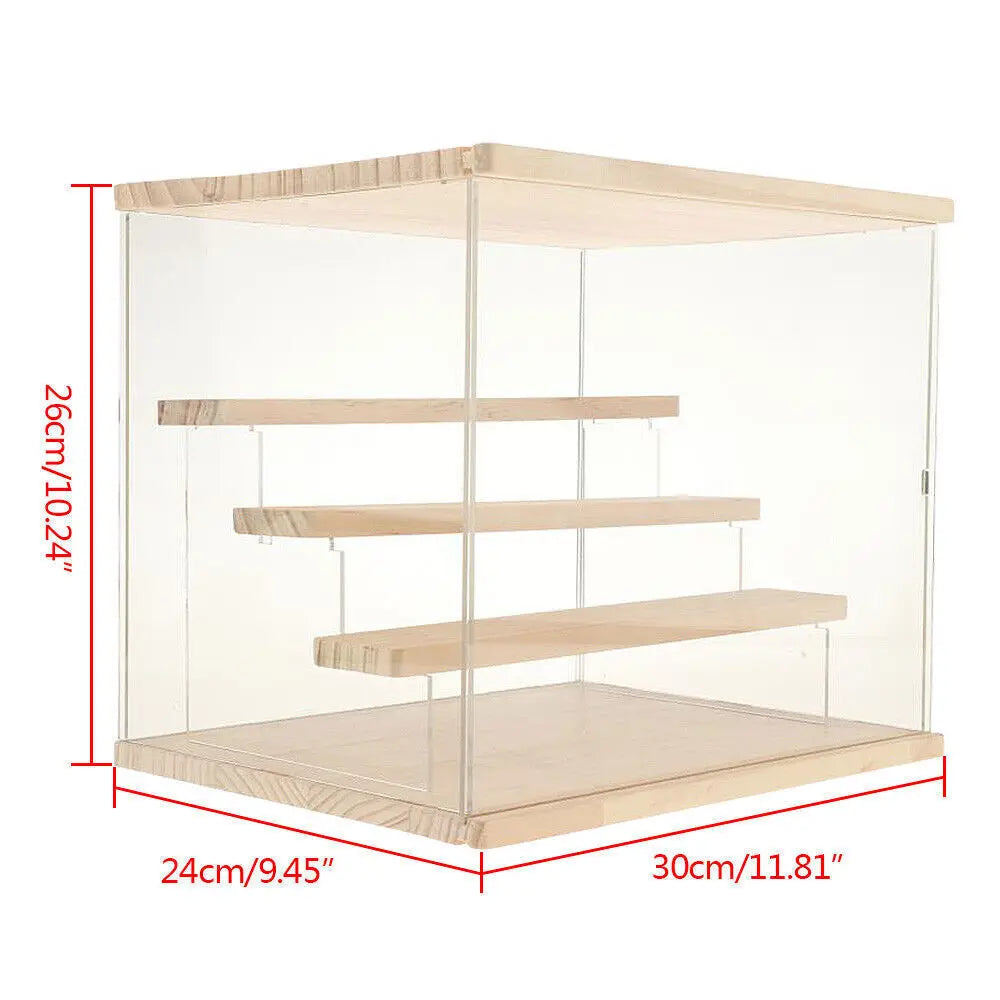 CN Guangdong Premium Acrylic DisplayCase Countertop Box Organizer Stand Showcases